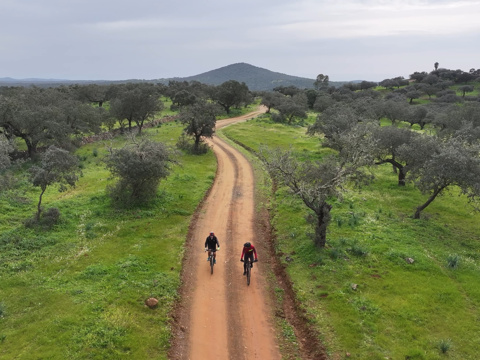 Ciclistas en el campo
